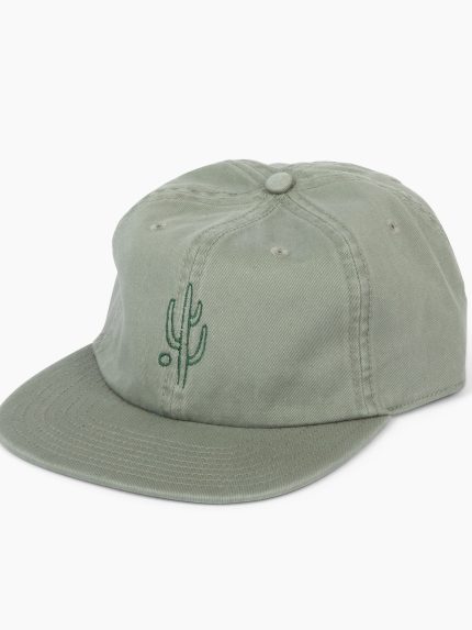 Saguaro Hat-Sage